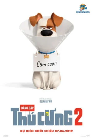 Đẳng Cấp Thú Cưng 2