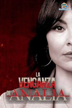 Kế Hoạch Phản Công Của Analia