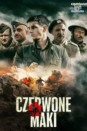 Những Đoá Anh Túc Đỏ Gợi Cảm