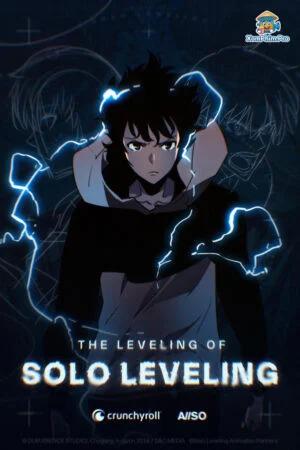 THE LEVELING OF SOLO LOVING