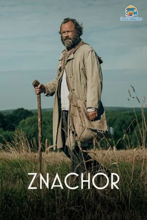 Tình yêu đã mất tích